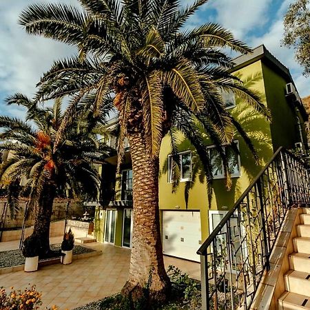 Olive Garden Apartment Petrovac Exterior foto